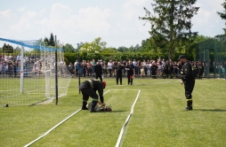 Zdjęcie: 1 (61).jpg