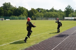 Zdjęcie: 1 (74).jpg