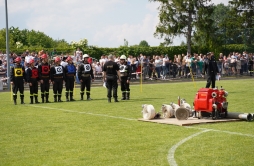 Zdjęcie: 1 (91).jpg