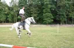 Zdjęcie: DS1 (3).jpg