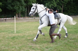 Zdjęcie: DS1 (31).jpg