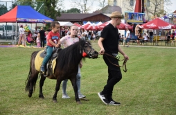 Zdjęcie: DS1 (34).jpg