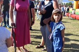 Zdjęcie: DS3 (7).jpg