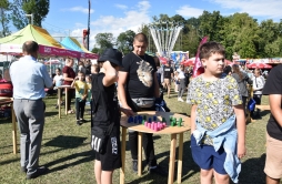 Zdjęcie: DS3 (21).jpg