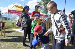 Zdjęcie: DS3 (28).jpg