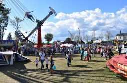 Zdjęcie: DS3 (51).jpg