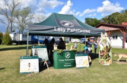 Zdjęcie: DS3 (82).jpg