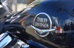 Zdjęcie: DS3 (89).jpg