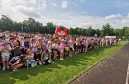 Zdjęcie: z1 (1).jpeg