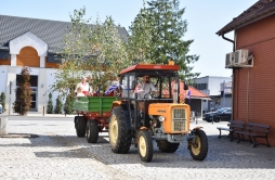 Zdjęcie: dożynki 2024 (8).jpg