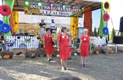 Zdjęcie: dożynki 2024 (110).jpg