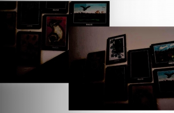 Zdjęcie: School in Rudka, Poland_compressed-03.jpg