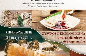 Zdjęcie: Konferencja online