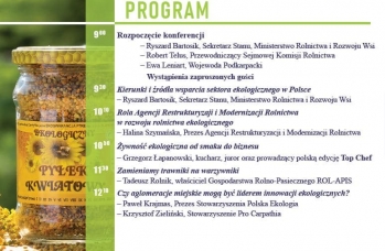 Zdjęcie: Konferencja online