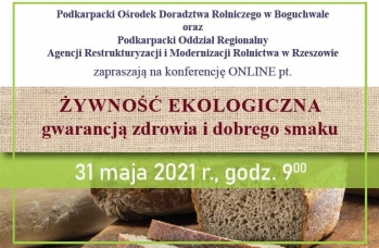 Zdjęcie: Konferencja online