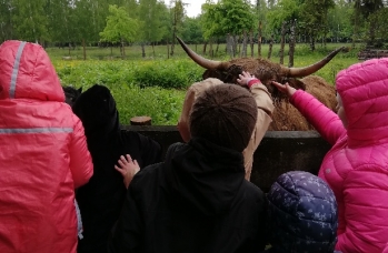 Zdjęcie: Międzyczas (9).jpeg