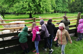 Zdjęcie: Międzyczas (11).jpeg