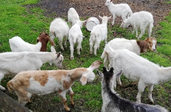 Zdjęcie: Międzyczas (7).jpeg