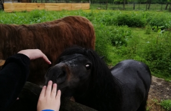 Zdjęcie: Międzyczas (8).jpeg