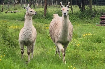 Zdjęcie: Międzyczas (16).jpeg