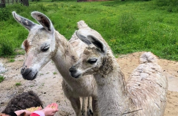 Zdjęcie: Międzyczas (25).jpeg