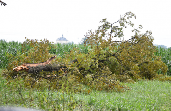 Zdjęcie: straty w rolnictwie (3).png