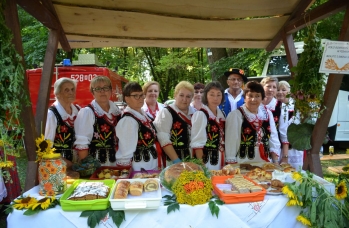 Zdjęcie: Piganeczki