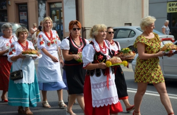 Zdjęcie: Piganeczki