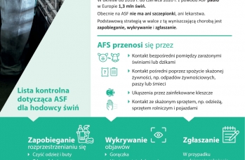 Zdjęcie: asf 2 b.jpg