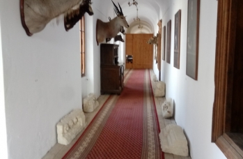 Zdjęcie: Dzień Patrona Szkoły w Rudce