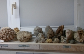 Zdjęcie: Dzień Patrona Szkoły w Rudce