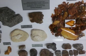 Zdjęcie: Dzień Patrona Szkoły w Rudce