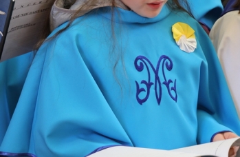 Zdjęcie: Koncert papieski w Rudce