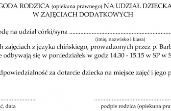 Zdjęcie: Lekcje chińskiego i kaligrafii