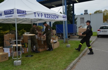 Zdjęcie: "Światełko pamięci do Łyczakowa"