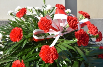 Zdjęcie: 1 (42).jpg