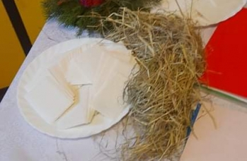 Zdjęcie: Rudka 1 (23).jpeg