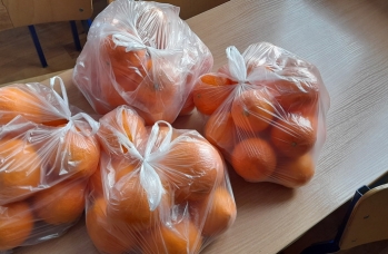 Zdjęcie: akcja Rudka (14).jpg