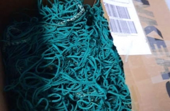 Zdjęcie: 1 (10).jpg