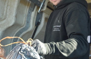 Zdjęcie: UK (12).jpg