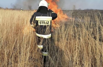 Zdjęcie: wypalanie traw (1).jpg