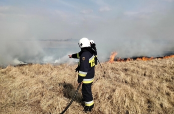 Zdjęcie: wypalanie traw (4).jpg