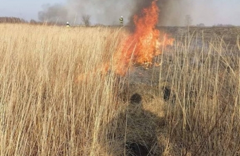 Zdjęcie: wypalanie traw (5).jpg