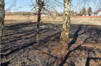 Zdjęcie: wypalanie traw (10).jpg