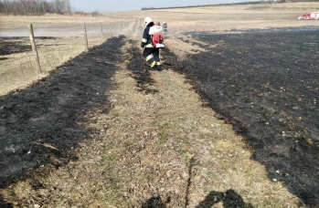 Zdjęcie: wypalanie traw (13).jpg