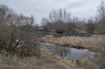 Zdjęcie: wypalanie traw (12).jpg