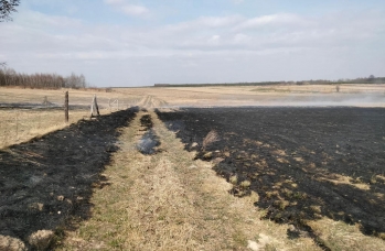 Zdjęcie: wypalanie traw (11).jpg