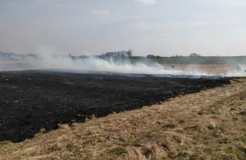 Zdjęcie: wypalanie traw (14).jpg