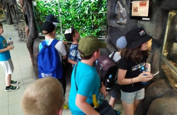 Zdjęcie: 1 (30).jpeg