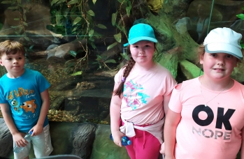 Zdjęcie: 1 (35).jpeg